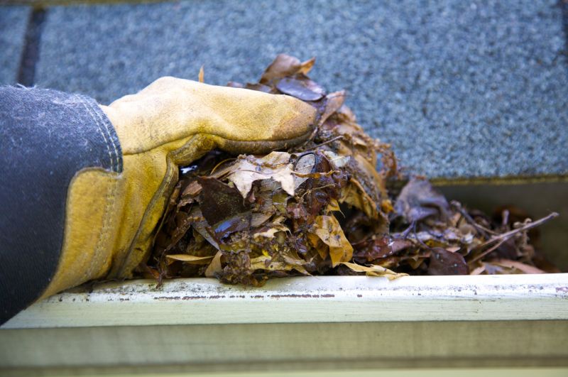 Gutter Leaves Removal in Fredericksburg, VA